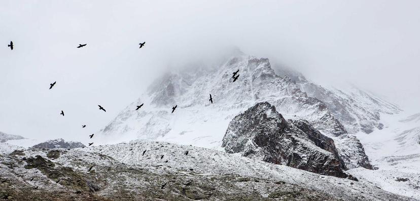 Main Product Image p-0