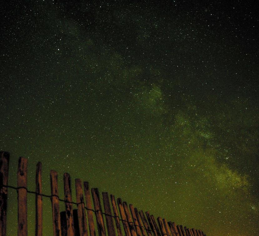 Main Product Image p-0